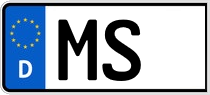 MS MS